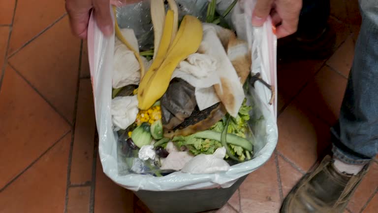 Best Same-Day Junk Removal Services  in Dothan, AL